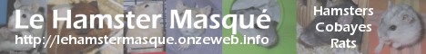 Le Hamster Masqu : hamsters cobayes et rats